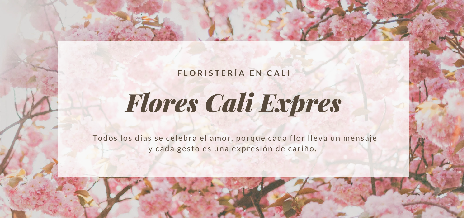 Flores Cali