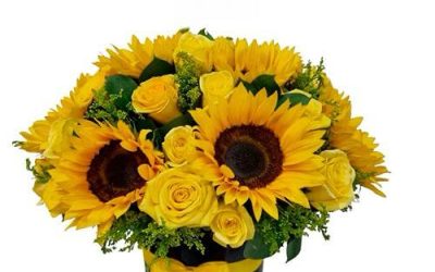 Flores Amarillas para el 21 de Marzo