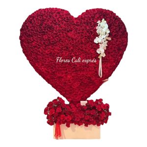 Ramo de Rosas Rojas “Te Amo”