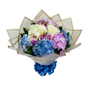 Bouquets Hortensias Cali