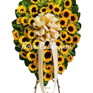 Corona Funebres Cali Norte