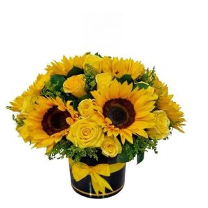 Rosas Y Girasoles Cali