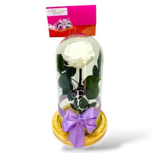Rosa Eterna en Cristal