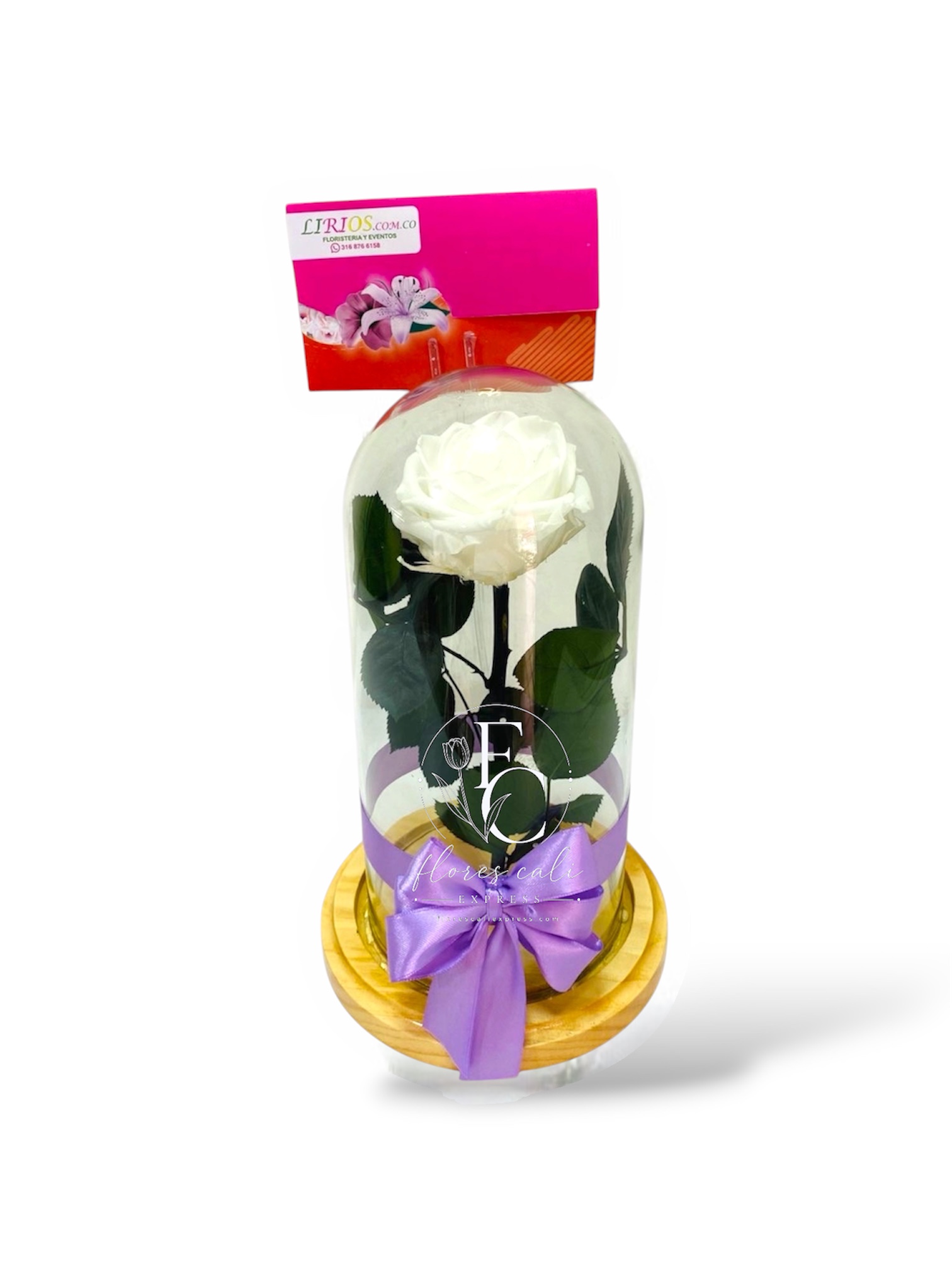 Rosa Eterna en Cristal